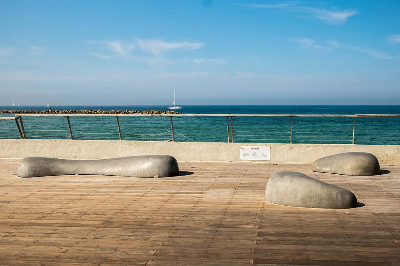 אלמנטים דקורטיביים / פיסוליים